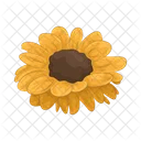 Sunflower  Icon