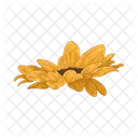 Sunflower Flower Nature Icon