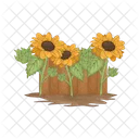 Sunflower Flower Nature Icon