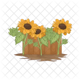 Sunflower  Icon