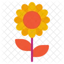 Sunflower Flower Nature Icon