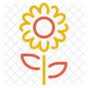 Sunflower Flower Nature Icon