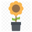 Sunflower Pot Sprout Icon