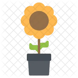 Sunflower  Icon