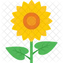 Sunflower Flower Blossom Icon