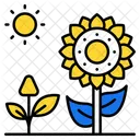 Sunflower  Icon