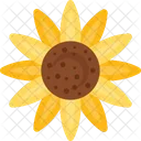 Sunflower Floral Bloom Icon
