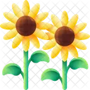 Sunflower Flower Nature Icon