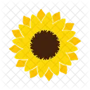 Yellow Flower Sunflower Blossom Icon
