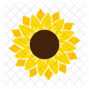 Golden Flower Sunflower Yellow Icon