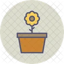 Sunflower Flower Spring Icon