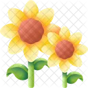 Sunflower Flower Nature Icon