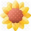 Sunflower Flower Nature Icon