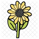Flower Sunflower Nature Icon