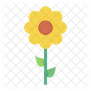 Flower Spring Blossom Icon