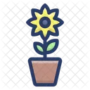 Sunflower Blossom Flower Icon