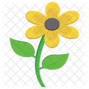Sunflower Flower Nature Icon