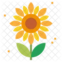 Flower Sunflower Flowers Icon