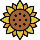 Bees Seed Sunflower Icon