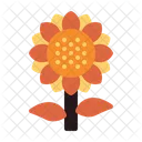 Sunflower Plant Autumn Icon