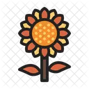 Sunflower Plant Autumn Icon