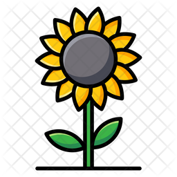 Free Free 207 Sunflower Outline Svg Free SVG PNG EPS DXF File