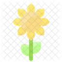 Spring Sunflower Blossom Icon