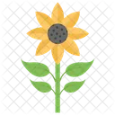 Sunflower Plant Garden Plant Icon