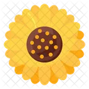Helianthus Sunflower Flower Icon