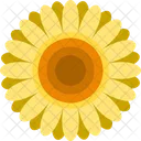 Sunflower Flower Icon