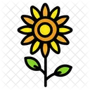 Flower Sunflower Nature Icon