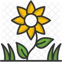 M Sunflower Icon