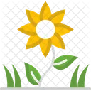 M Sunflower Icon
