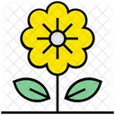 Summer Sunflower Flower Icon