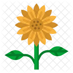 Sunflower  Icon