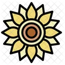Sunflower Home And Garden Ecology And Environment Icon
