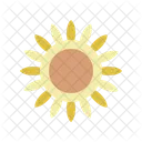 Sunflower Petal Blossom Icon