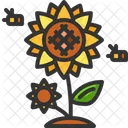 Sunflower Organic Seeds Icon