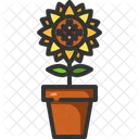 Sunflower Plant Pot Botanic Icon
