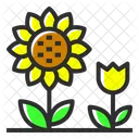 Sunflower Flower Nature Icon