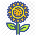 Sunflower Flower Blossom Icon