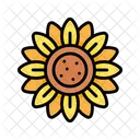 Sunflower Flower Blossom Icon