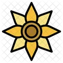 Sunflower Botanical Bloom Icon