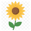 Sunflower Agriculture Farming Icon