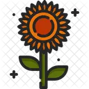 Sunflower Blossom Botanical Icon