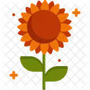 Sunflower Blossom Botanical Icon