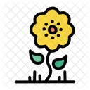 Sunflower Flower Summer Icon