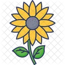 Sunflower Flower Petals Icon