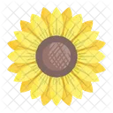 Sunflower Flower Floral Icon