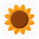 Sunflower Blossom Plant Icon